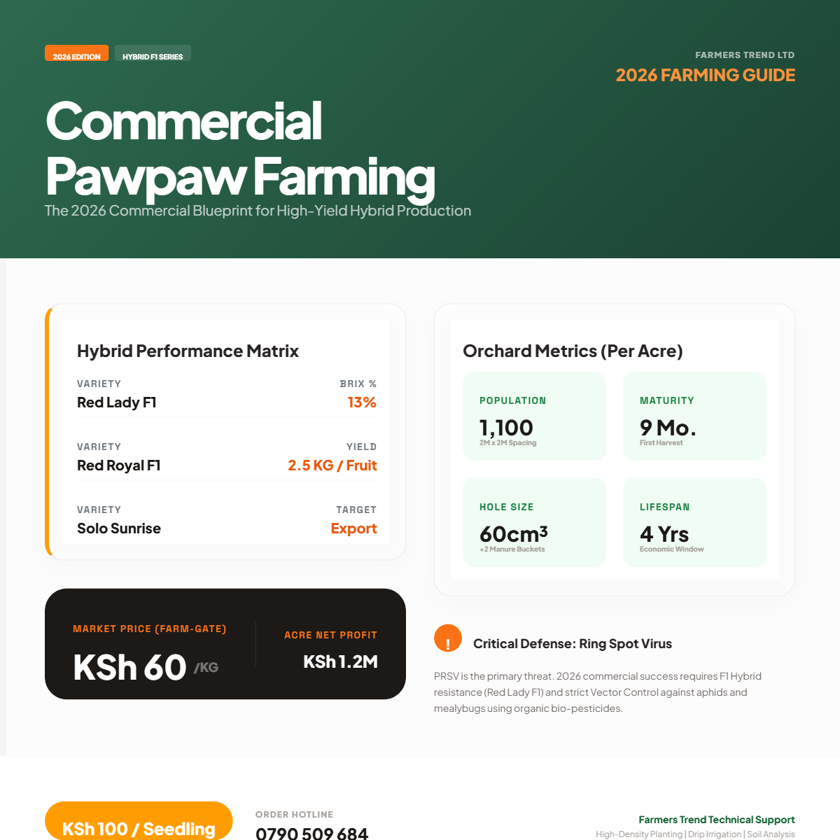 Pawpaw Farming in Kenya: The 2026 Commercial Blueprint for High-Yield Hybrid Production