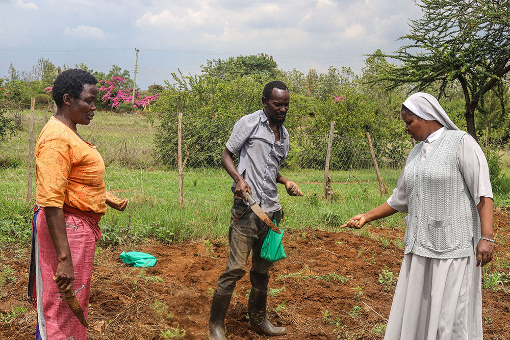 Maasai Climate Resilience in Kenya Takes Root as Drought Reshapes Pastoralist Life