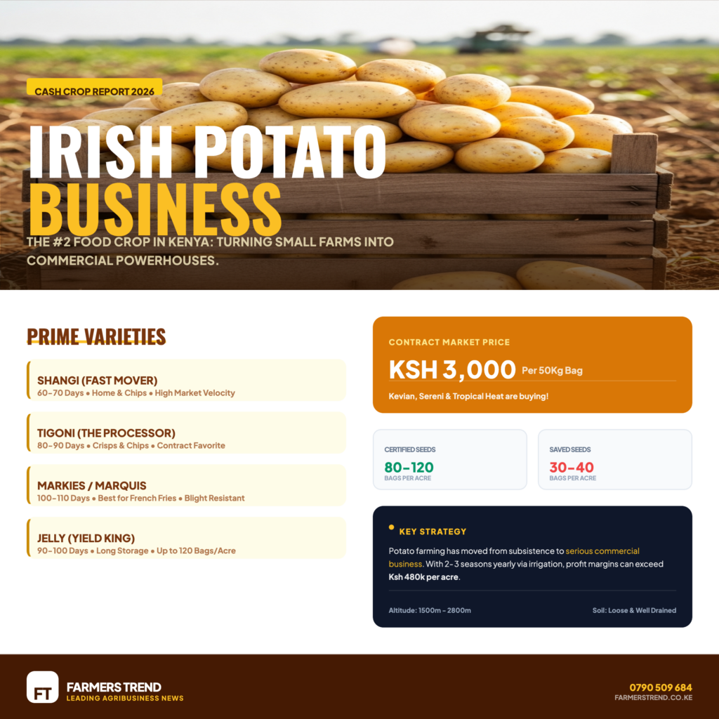 Irish Potato Farming in Kenya 2026 - The Complete Guide to Growing Irish Potatoes for Profit