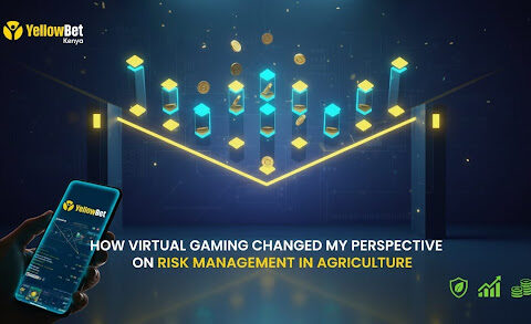 How Virtual Gaming Changed My Perspective on Risk Management in Agriculture
