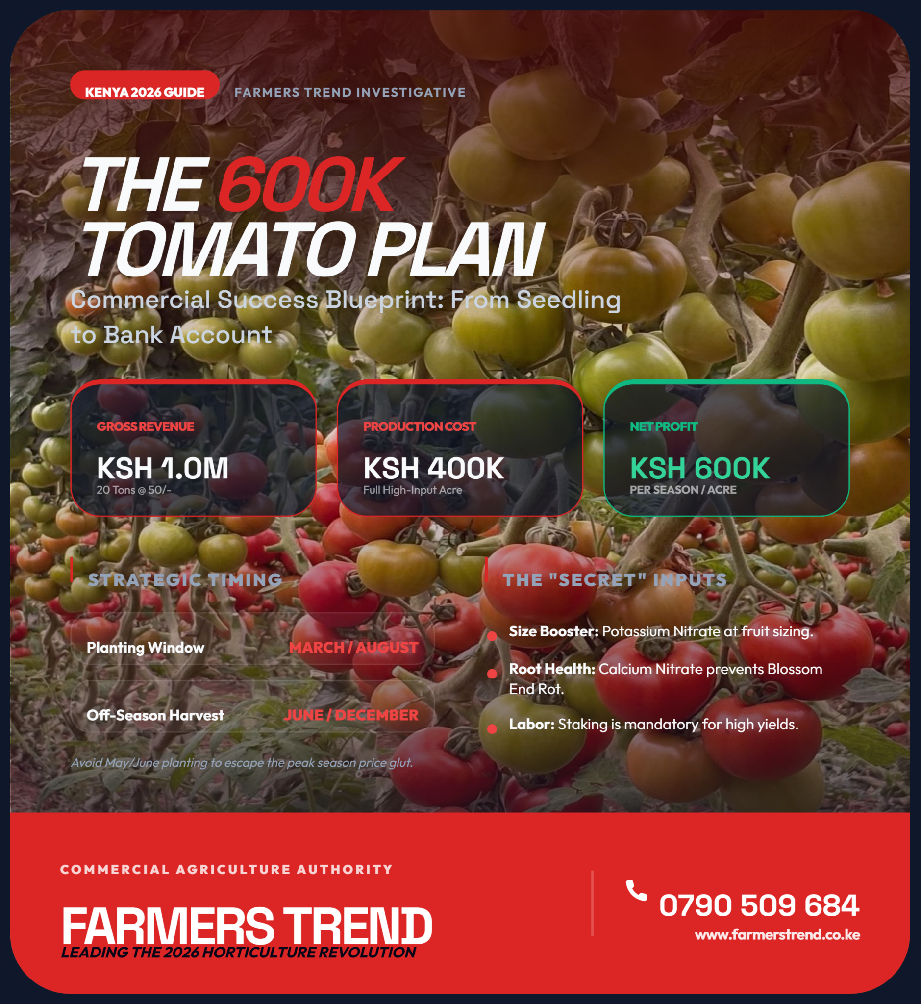 Tomato Farming In Kenya 2026 How To Earn KSh 600 000 Per Acre Without Farmers Trend Tomato Blueprint 2026 1879x2048 