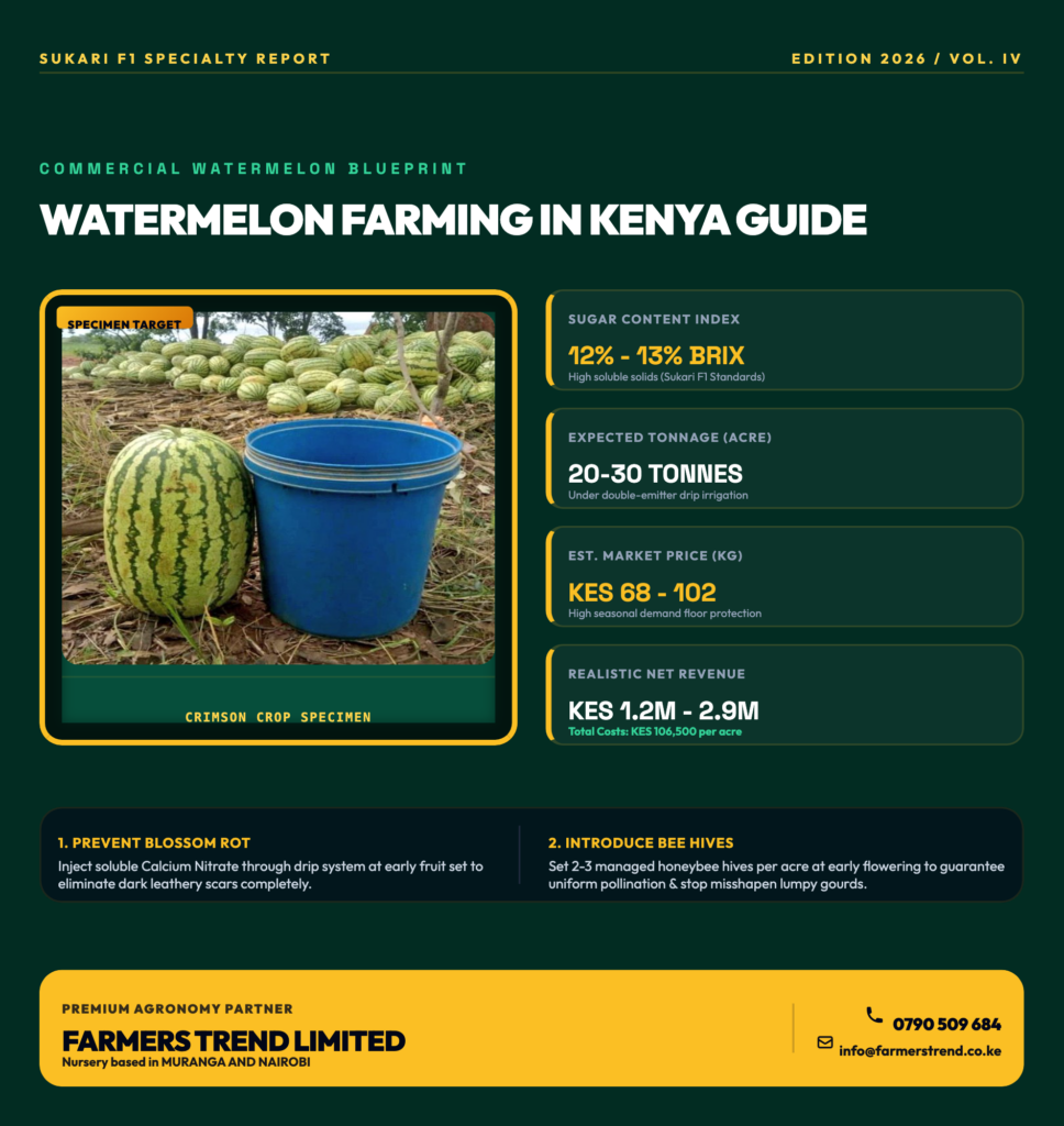 Commercial Watermelon Farming in Kenya 2026: The Millionaire's Blueprint for Maximum Tonnage and Sugar Content