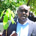 Grafted Hass Avocado Seedlings in Migori Distributed to 42,000 Farmers to Boost Export Earnings
