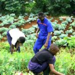 green finance for youth employment in Kenya