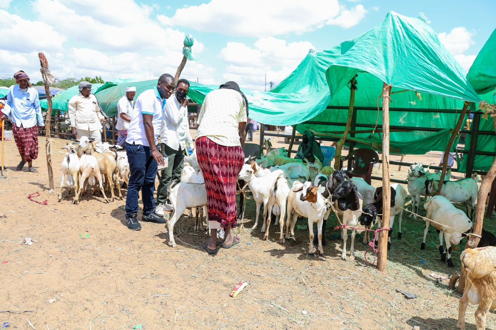 Boni Enclave trade opportunities in Garissa