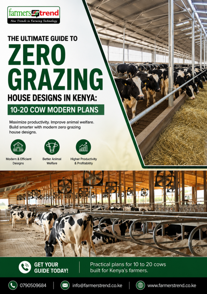 The Ultimate Guide to Zero Grazing House Designs in Kenya: 10-20 Cow Modern Plans