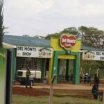 Del Monte Tax Dispute Over Foreign Exchange Losses