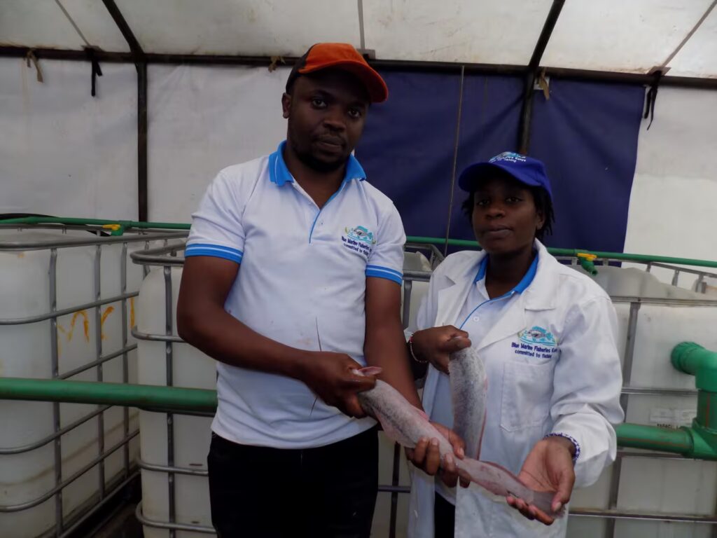 Fish Farming Business Started with Single Facebook Order Now Thrives as Blue Marine Investments