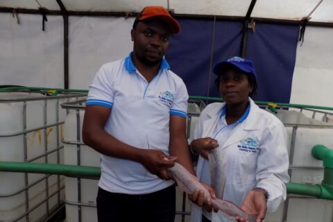 Fish Farming Business Started with Single Facebook Order Now Thrives as Blue Marine Investments