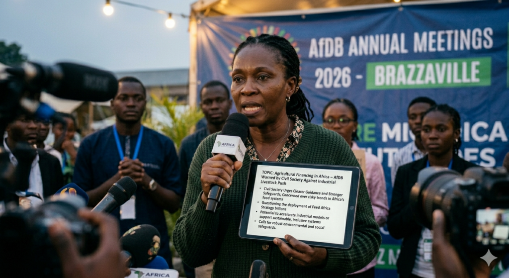 Agricultural Financing in Africa AfDB Warned by Civil Society Against Industrial Livestock Push