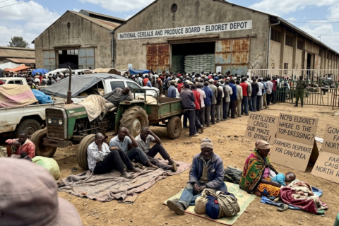 Fertilizer Shortage in North Rift Kenya Forces Farmers to Camp at Eldoret NCPB Depot