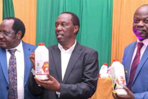 Meru University Launches Ka-Mero Camel Milk Yoghurt to Boost Health and Pastoral Incomes