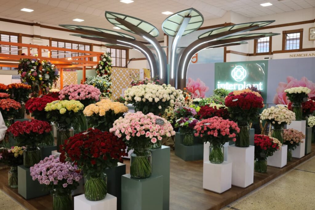 Kenya Flower Industry Global Leader at Crossroads as Freight Costs and VAT Delays Bite 1 Kenya flower industry global leader challenges