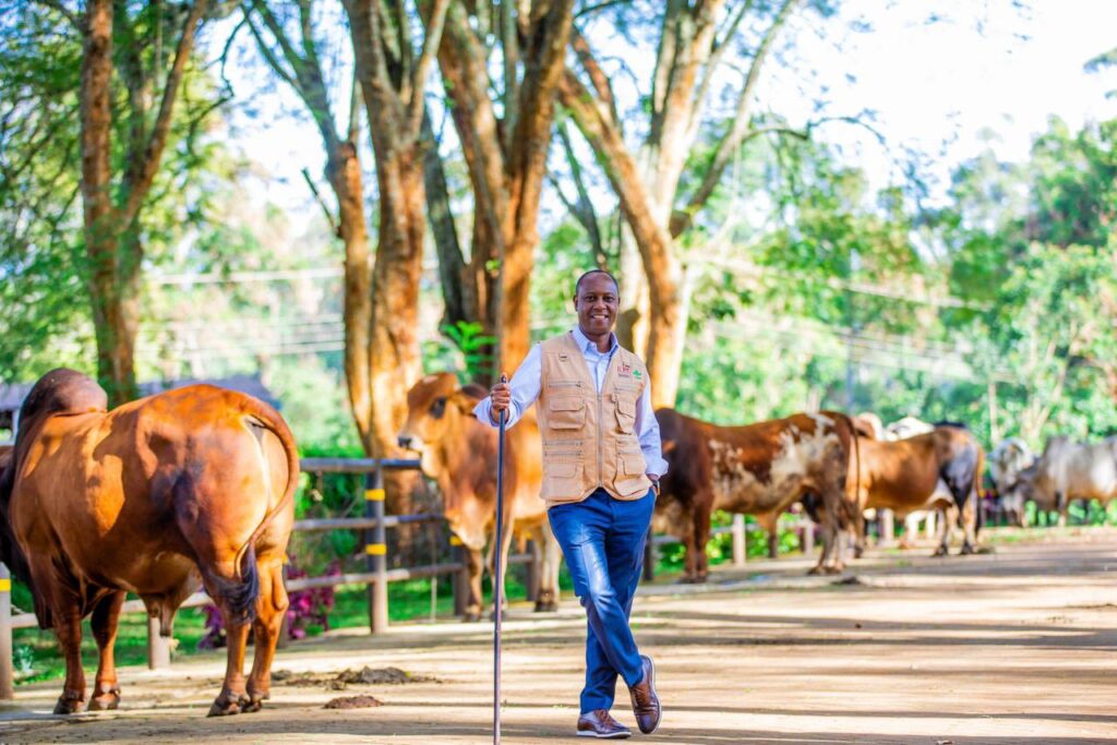 Livestock Sector Investment in Kenya Hits KSh 9.6 Billion to Boost Farmer Incomes