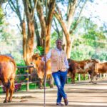 Livestock Sector Investment in Kenya Hits KSh 9.6 Billion to Boost Farmer Incomes