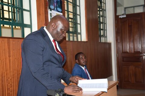 NBA Regulates GMOs in Kenya and Is Fully Capable of Handling Bt Maize Safety Court Told