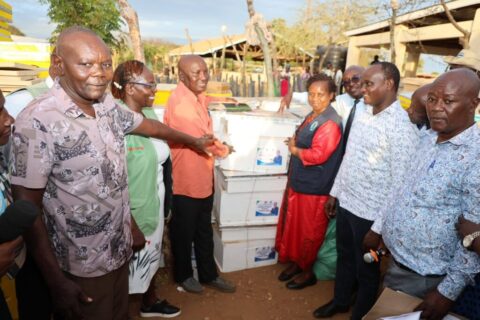 New Agriculture Support Programme