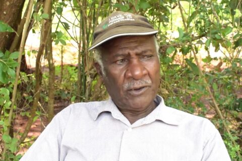 Practical Agriculture in Schools Kenya Urged by Experts to Secure Food Future