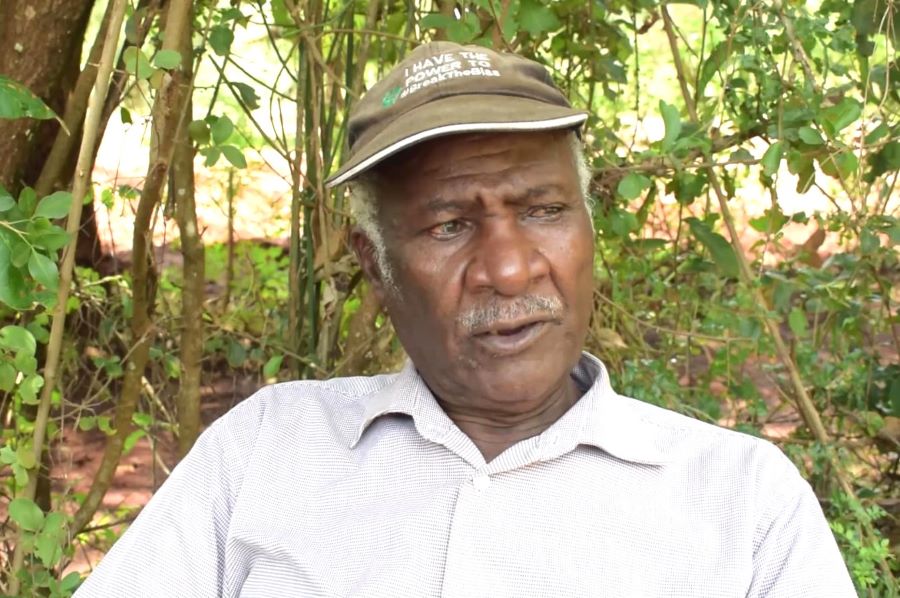 Practical Agriculture in Schools Kenya Urged by Experts to Secure Food Future