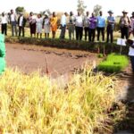 Rice Seed Production Training in Kenya