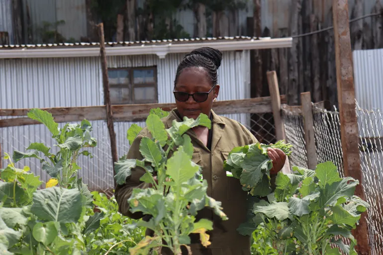 AI Tools for Farming in Kenya Help Young Graduates