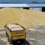 Russian Wheat Exports to Kenya