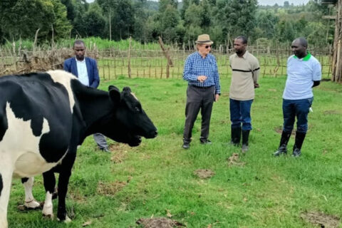 Smallholder Dairy Systems Transformation in Kenya