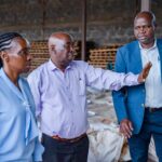 Government Steps In for Mwea Rice Market Intervention 2026
