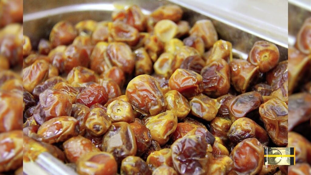Fresh Medjool dates ready for consumption from a dates farming in Kenya operation.