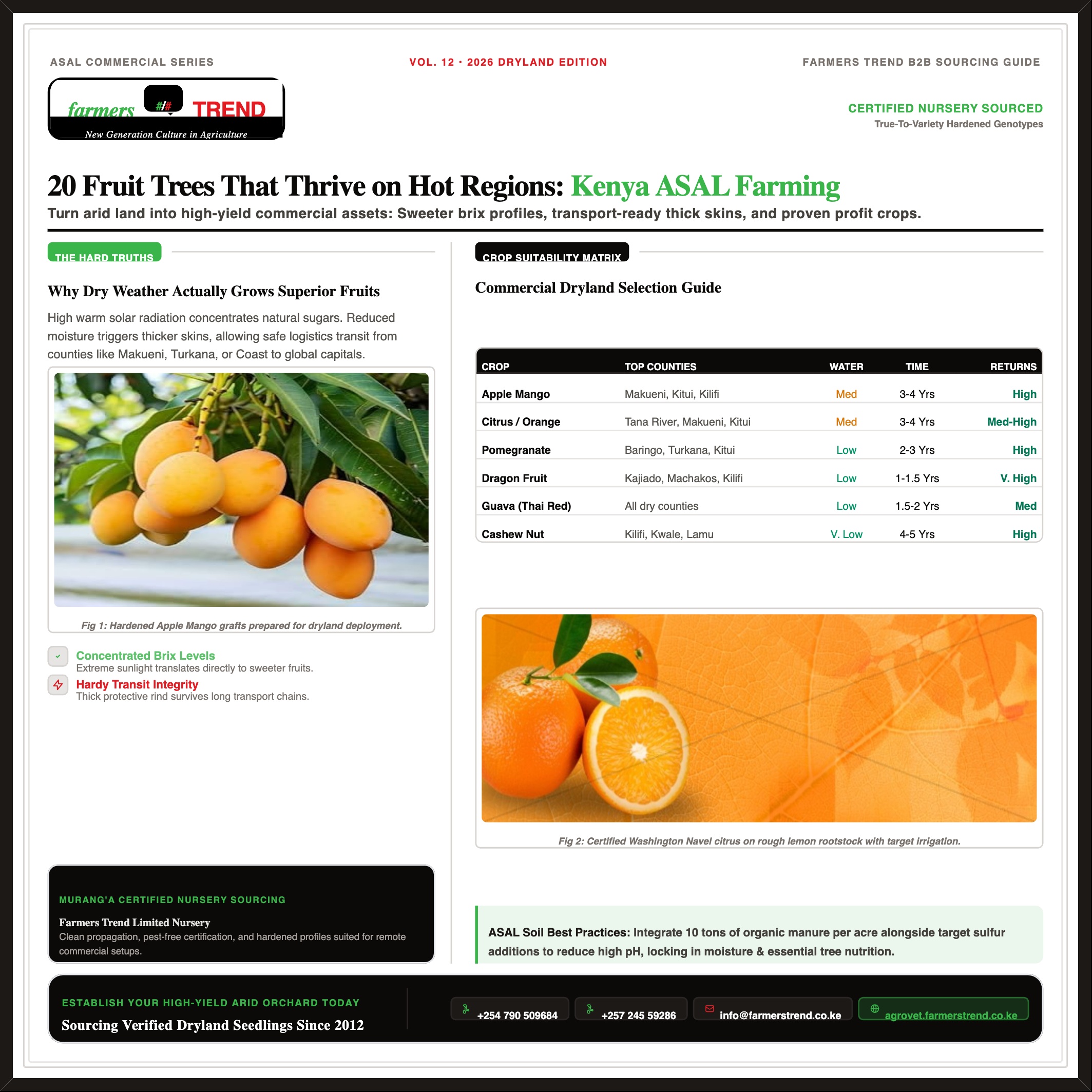 20 Fruit Trees That Thrive Well on Hot Regions: A Commercial Guide for ASAL Fruit Farming in Kenya