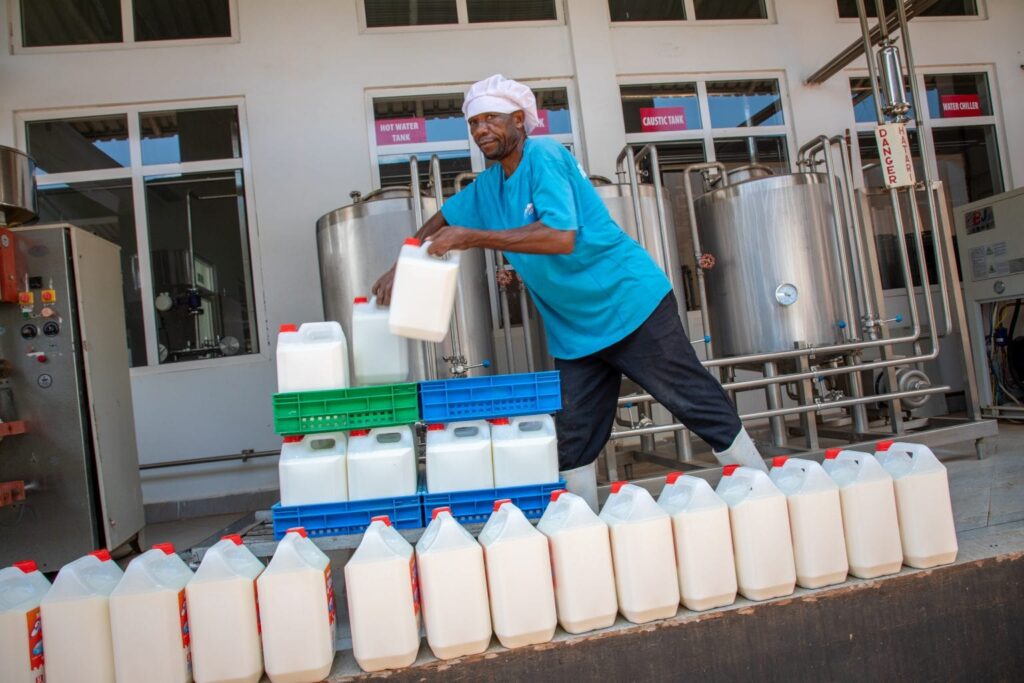 Kenya Is Now Leading Milk Producer in Africa After Overtaking Egypt with 5.4 Billion Litres
