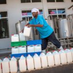 Kenya Is Now Leading Milk Producer in Africa After Overtaking Egypt with 5.4 Billion Litres