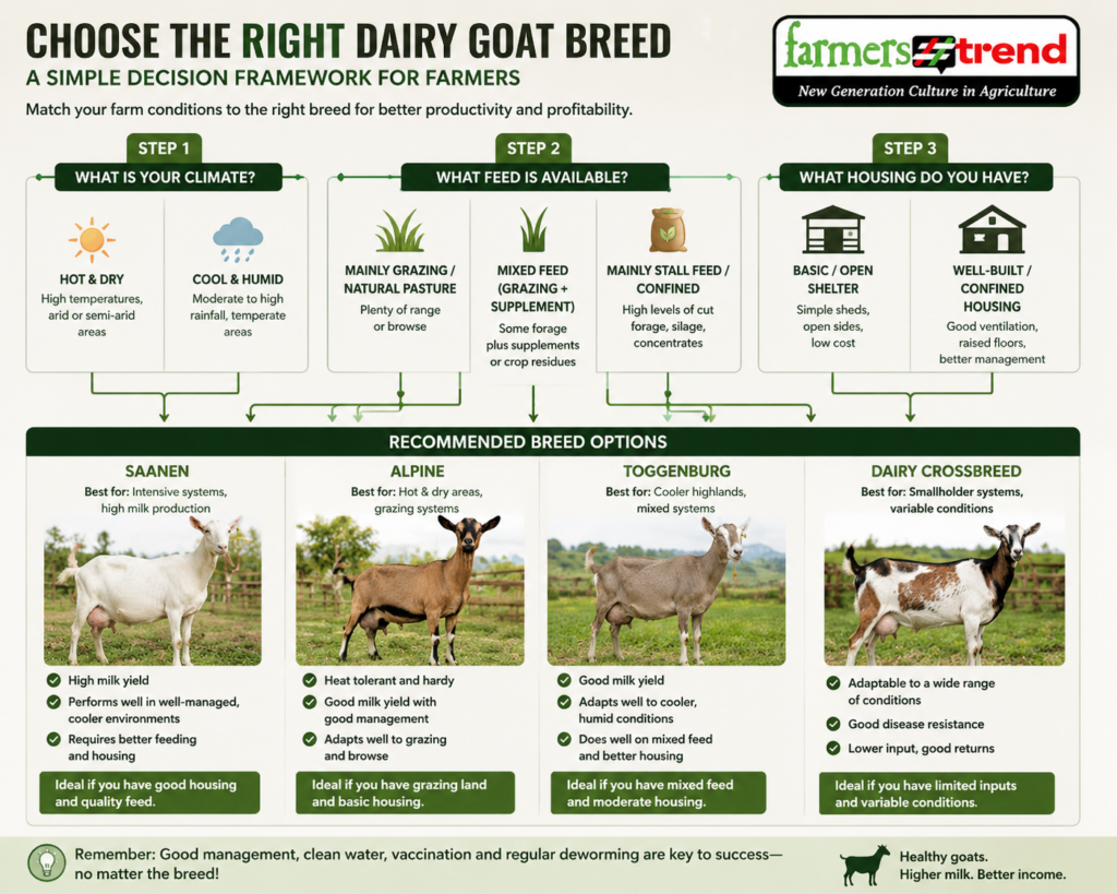 A simple decision framework graphic guiding farmers to select a breed based on climate, available feed, and housing.