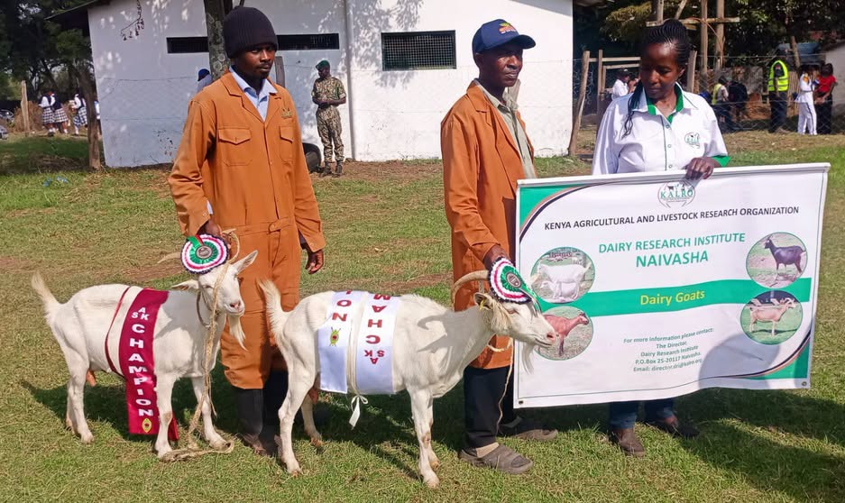 KALRO Shines at Nakuru ASK Show