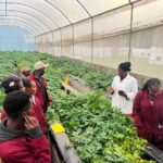 KALRO Trains Laikipia Farmers and Extension Officers to Expand Certified Seed Potato Production