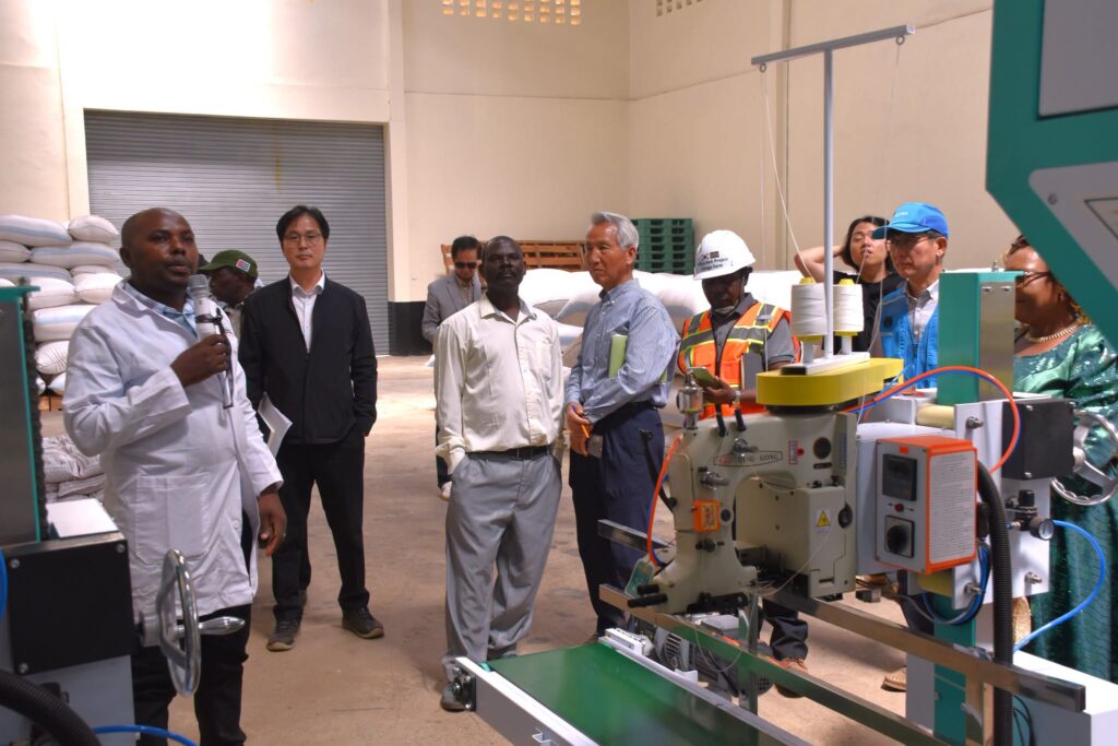 KALRO and KOPIA Strengthen Certified Rice Seed Production to Boost Yields and Food Security 1 KALRO and KOPIA Strengthen Certified Rice Seed Production to Boost Yields and Food Security