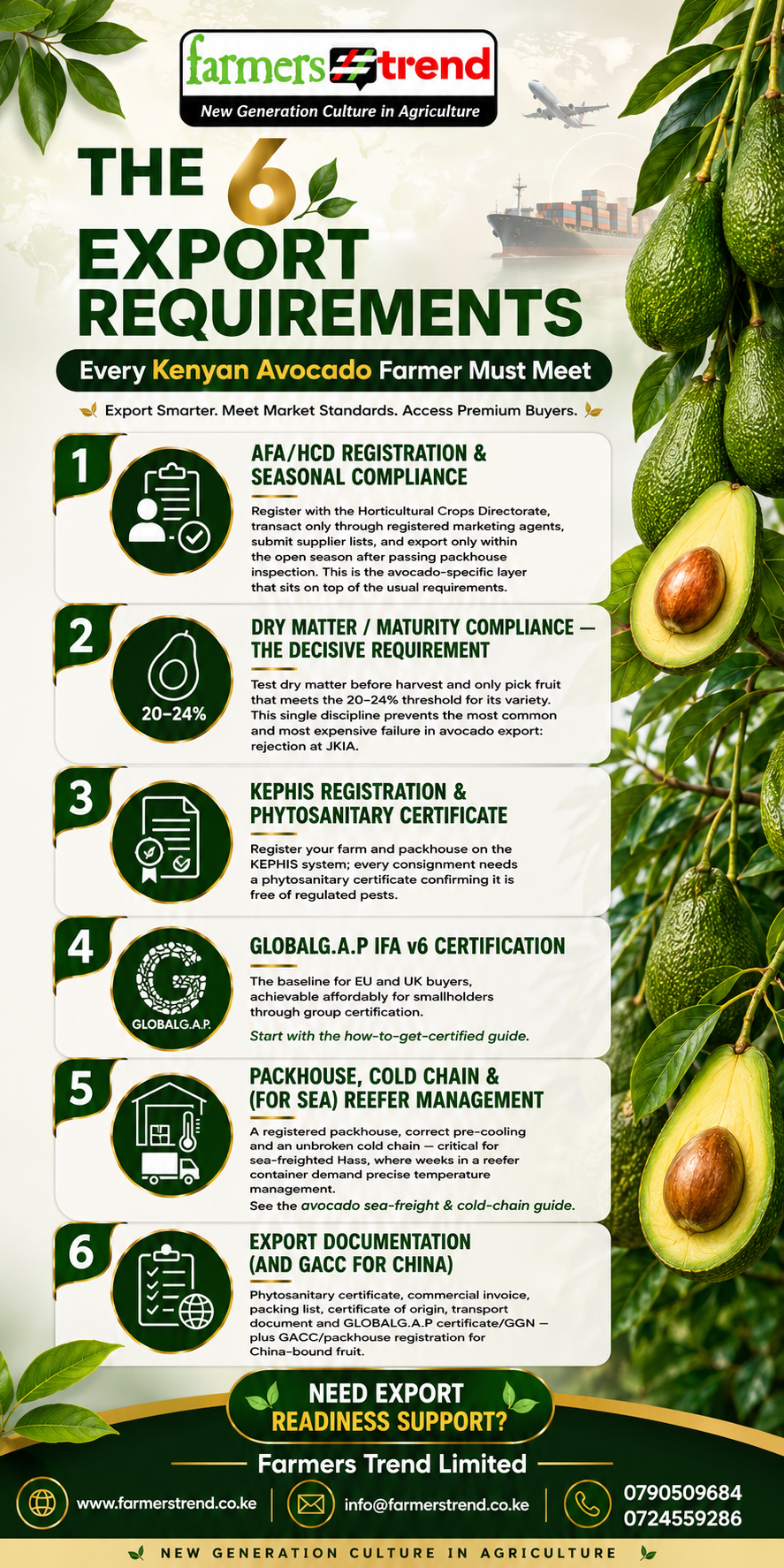 Kenya Avocado Export Requirements: 6 Rules Every Farmer Must Meet Before Exporting