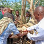 Kenya Rolls Out ANITRAC Livestock Identification System to Unlock Global Export Markets Kenya Rolls Out ANITRAC Livestock Identification System to Unlock Global Export Markets