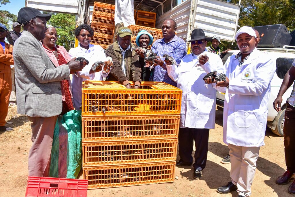 Nyeri County Boosts Poultry Farming With Chick Distribution Programme 1 Nyeri Chick Distribution programme