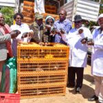 Nyeri Chick Distribution programme