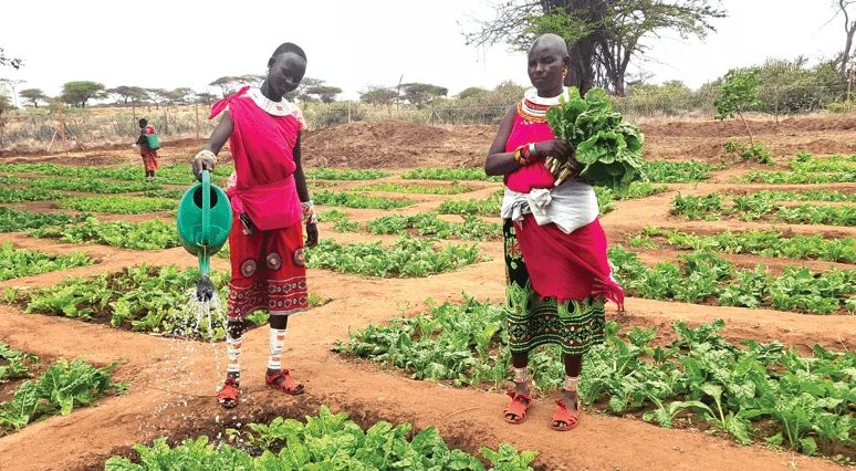 How Over-Regulation in Kenya Agriculture Is Stifling Growth and Blocking Farmer Access to Technology 1 Over-Regulation in Kenya Agriculture