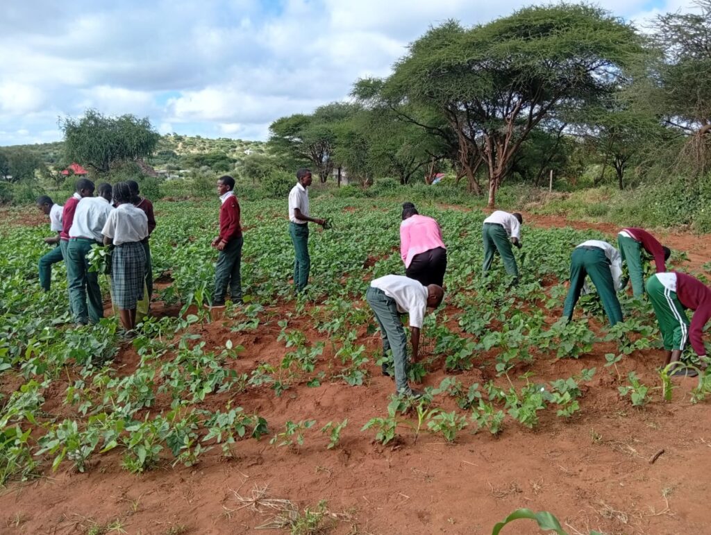 School Farms in Kenya Improve Food Security and Boost School Enrolment