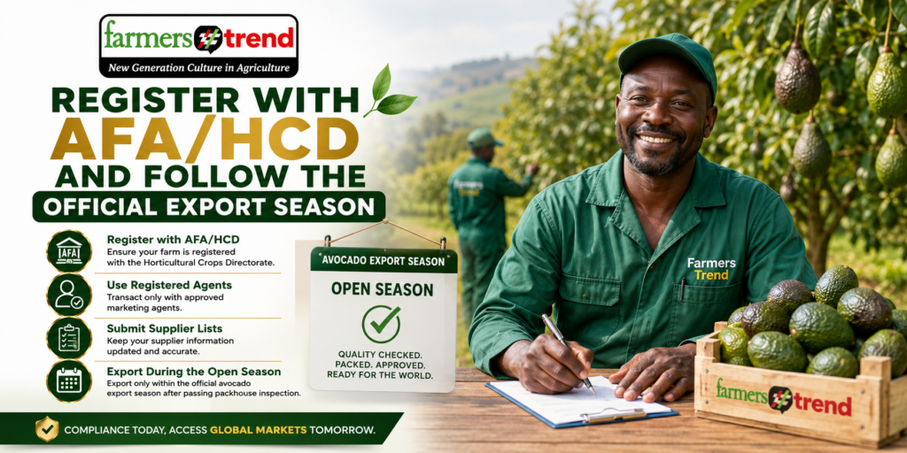 Register with AFA/HCD and Follow the Official Export Season