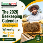 The 2026 Beekeeping Calendar for Kenya: When to Harvest and Feed The 2026 Beekeeping Calendar for Kenya: When to Harvest and Feed