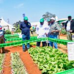 Wambugu Farm Agricultural Exhibition