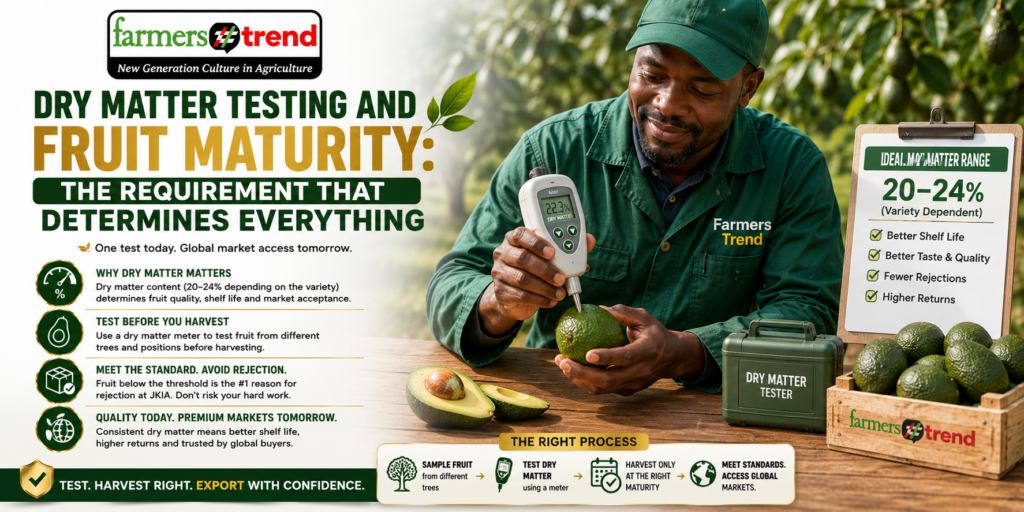 Dry Matter Testing and Fruit Maturity: The Requirement That Determines Everything
