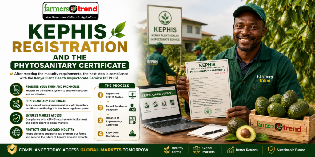 KEPHIS Registration and the Phytosanitary Certificate