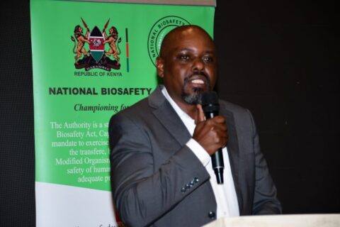 Rwanda Moves to Register Kenya-Tested Bt Potato as Data Sharing Speeds Up Approval