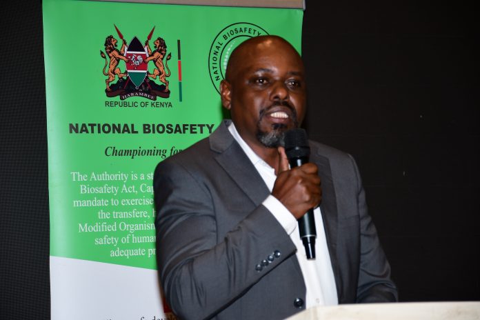 Rwanda Moves to Register Kenya-Tested Bt Potato as Data Sharing Speeds Up Approval