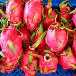 Kika1 dragon fruit variety launched in Kenya